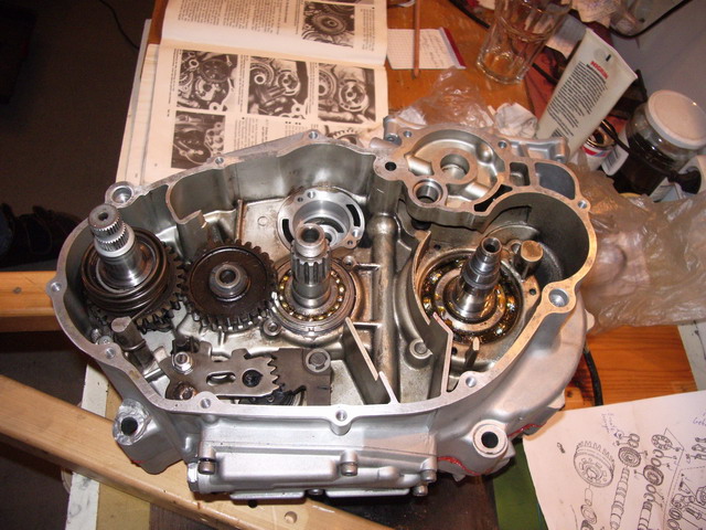 Sonares Yamaha SR500