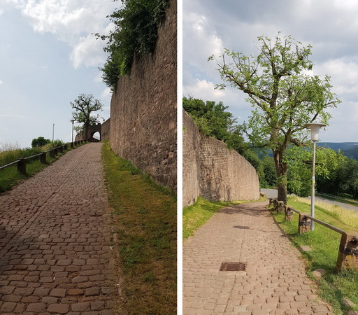 Motorradtour 2018: Römer und Ritter im Odenwald