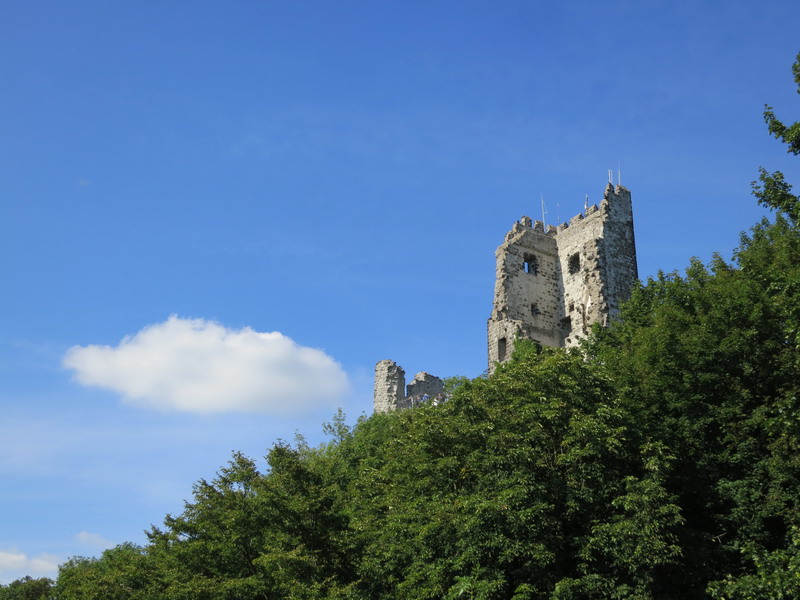 Remagen und Drachenfels 2015