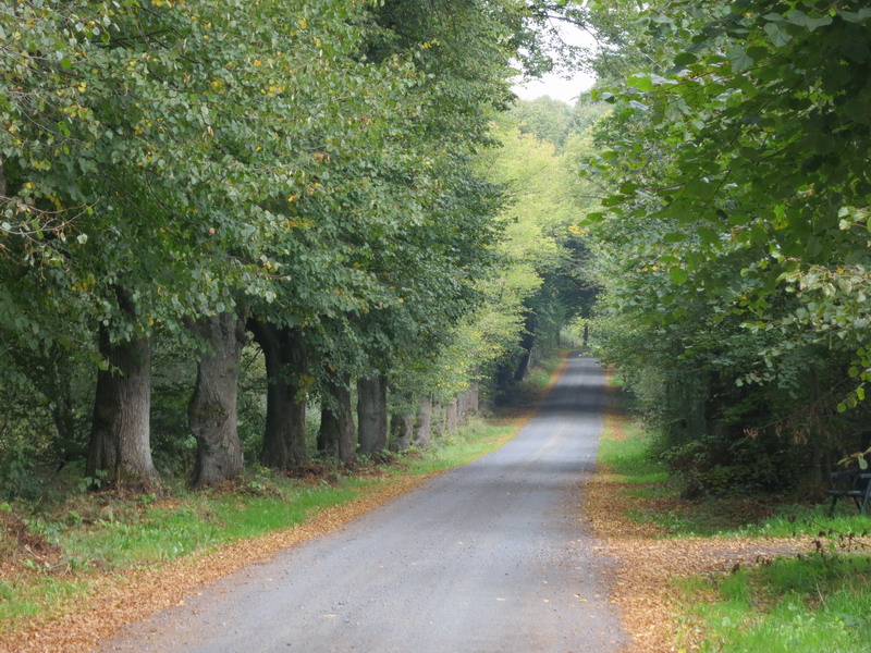 Spessart und Vogelsberg 2014