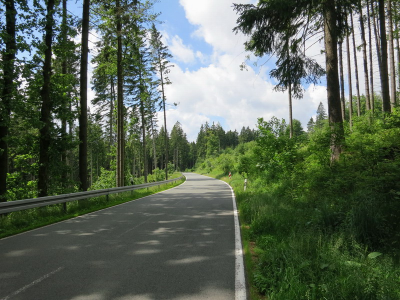 Thüringer Wald 2012