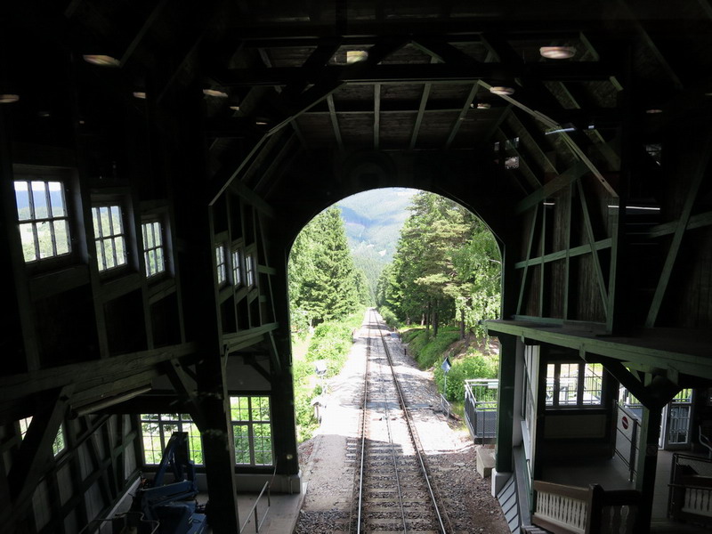 Thüringer Wald 2012