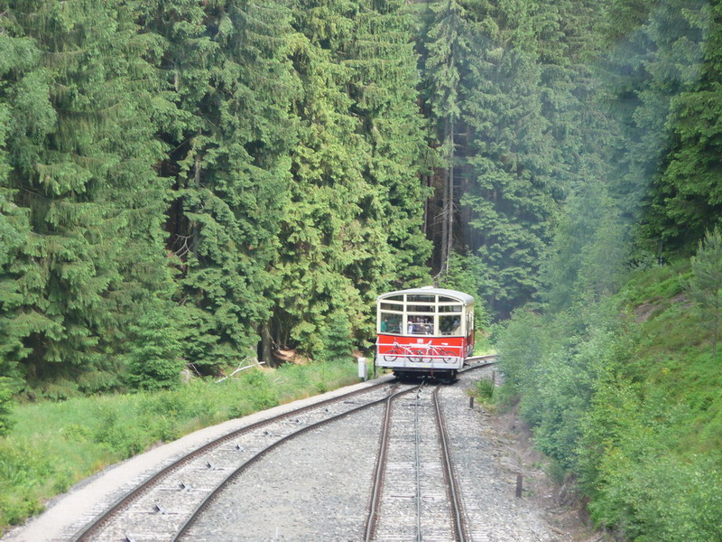 Thüringer Wald 2012