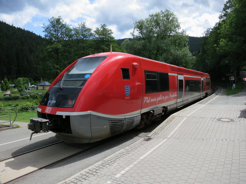 Thüringer Wald 2012