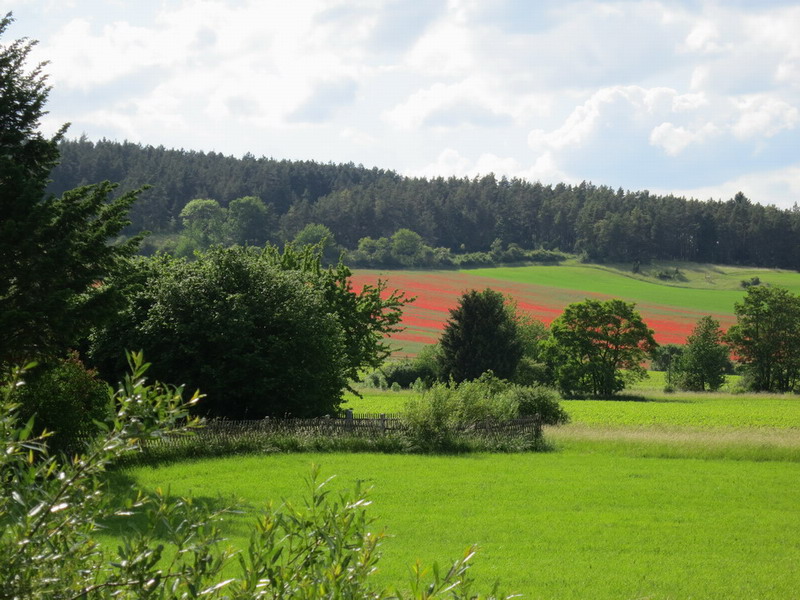 Thüringer Wald 2012