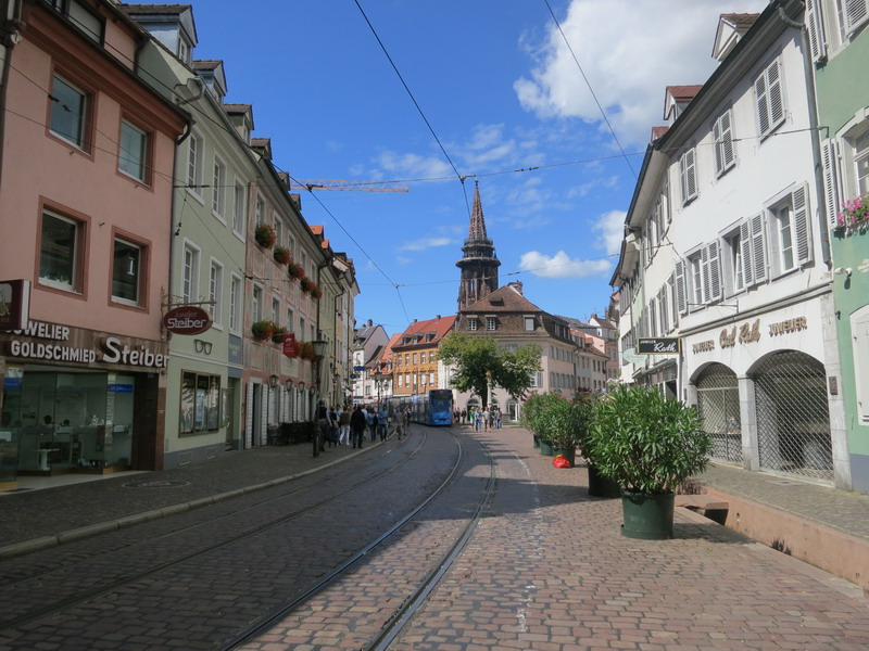 Schwarzwald 2016
