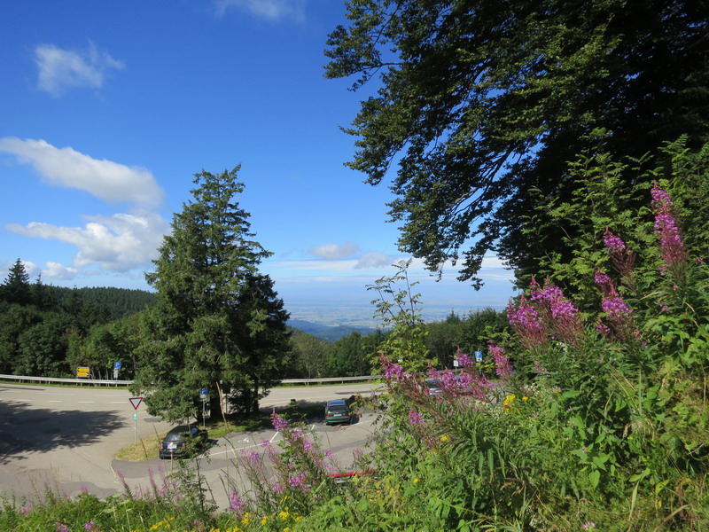 Schwarzwald 2016