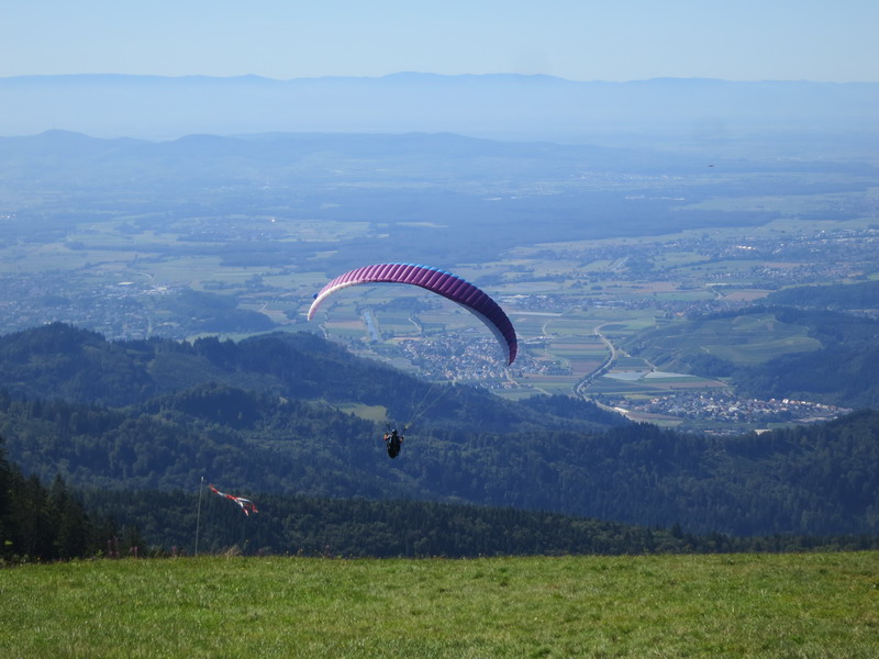 Schwarzwald 2016